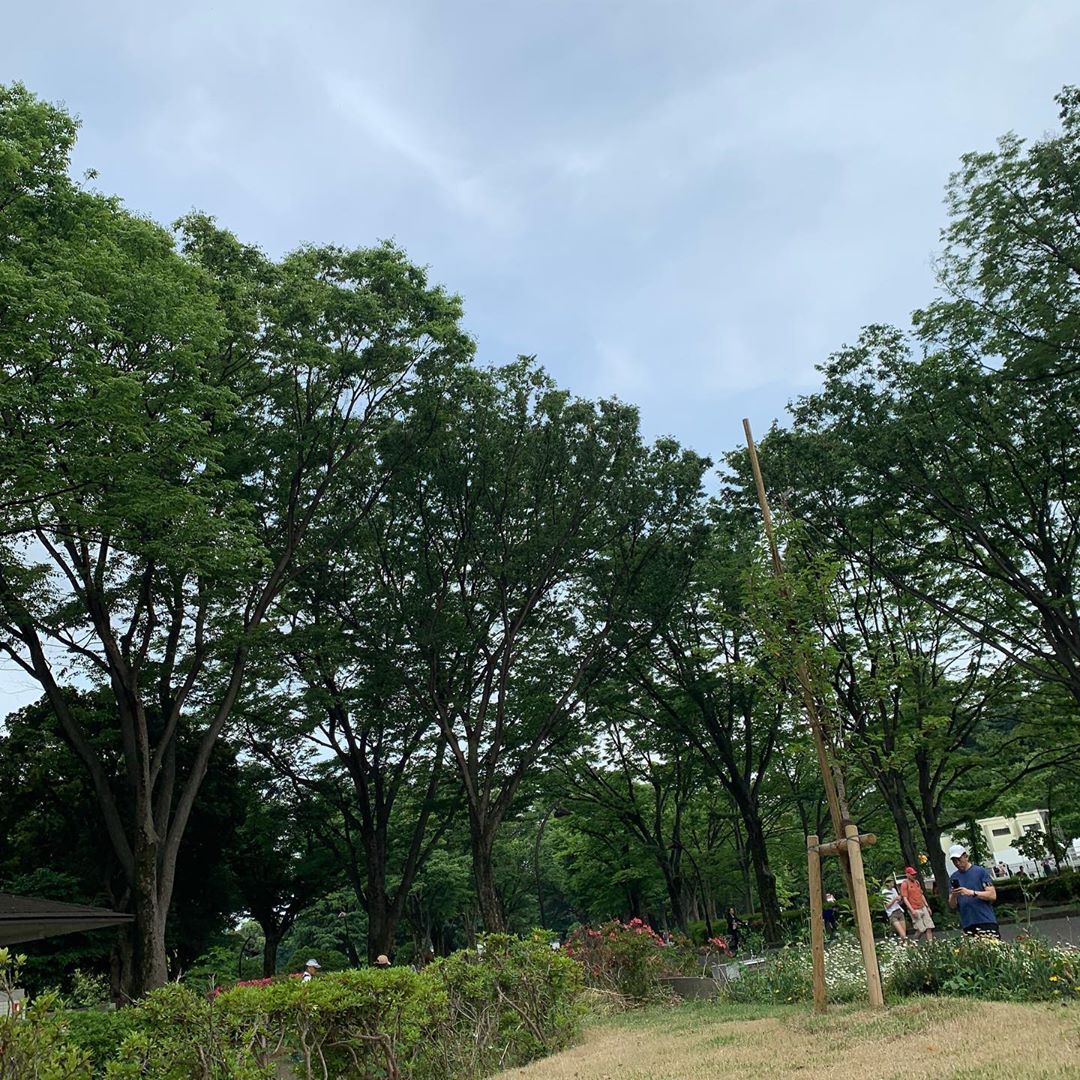 駒沢公園